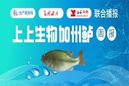 跌破9元/斤！广东鲈价最高跌1元/斤，菱湖存塘不足3成 | 上上生物联合报价⑧