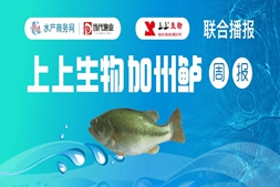 缺鱼！“卖一塘少一塘”，最高涨1.5元/斤，加州鲈还要再涨！｜高端水产·看上上报价⑰
