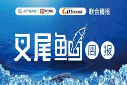 最高跌0.5元/斤！多地叉尾新鱼陆续上市，中秋、国庆将会涨价？| 华扬动保联合播报㉘