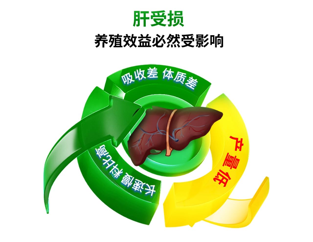 f27c52e16942d441c75c3fcccbf01d50.jpg