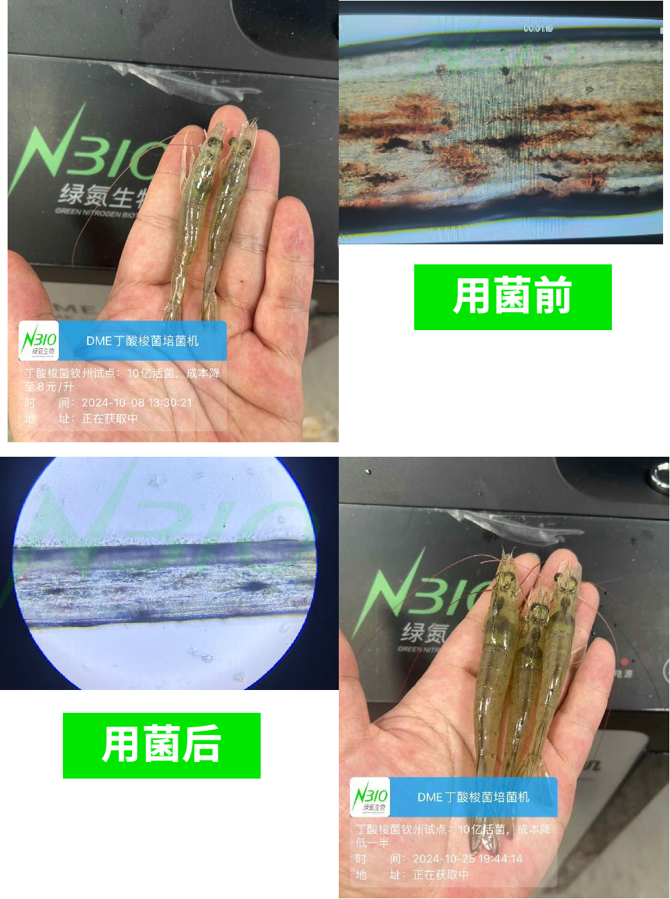 2036e608b5b2792239231acd54f1a9c8.png