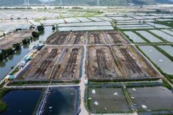 年省12万，亩产1300斤！合浦老虾农破局“土塘低效”难题：一台投料机就够了！| 中渔360°风送投料机⑧