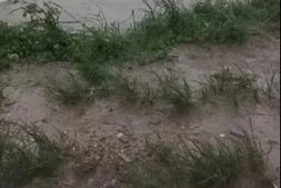 “桦加沙”暴击珠三角！台山数万小棚断水断电，都斛万亩蟹塘遭海水倒灌，多地养殖业几近“清零”！