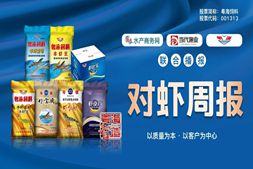 节后开工虾价如何?粤东福建地区坚挺,15条卖到31元!|粤海联合播报㊵