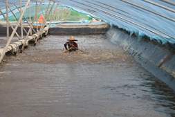 “棚”友圈大商机：10万张棚，6亿动保市场，呼唤精准破局！（闭门会邀请中）