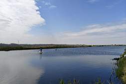 年赚超250万元,只因他做对了这一步!