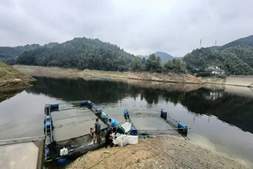 一批鱼赚21万元,他是这样做到的!