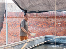 2026年,麦叔清空了冰柜,做个潇洒的养螺人!