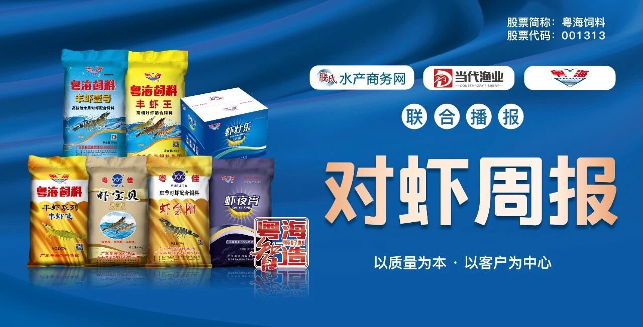 涨2-3元！粤东20头大虾冲上19元/斤，珠三角静待下一波行情