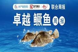 高温逼售！广东鳜鱼再跌0.5元/斤，饲料鳜却稳赚？