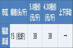 涨2-3元!粤东20头大虾冲上19元/斤,珠三角静待下一波行情