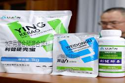 短肠快大,缩短白虾养殖周期10-15天:郭忠东谈利健的营养增效突围路