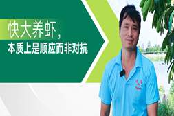 从员工到养虾老板,他发现养虾能稳定赚钱的,是那套快大养虾理念