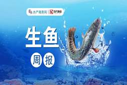难顶！高温下一车死鱼过千斤，生鱼后市何去何从？｜生鱼周报㉝