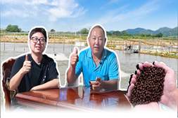 “够大就卖,不等价!”对话新会黄老板:加州鲈跌破成本,他靠一个“快”字破局