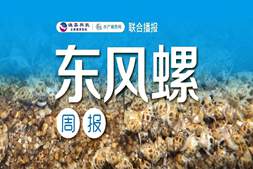 东风螺全线再跌2元/斤!养殖户急售止损,后市仍不乐观 | 养好螺·用渔嘉㉘
