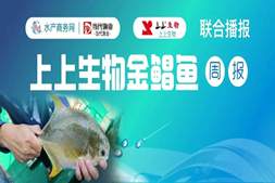 1斤上金鲳“断供”！活鲜飙到21元/斤，养殖户正忙着补苗