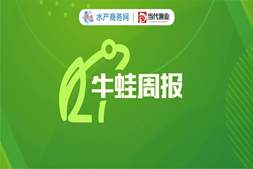 还在涨!大蛙冲上7.6元/斤,双节拉动牛蛙量价齐升